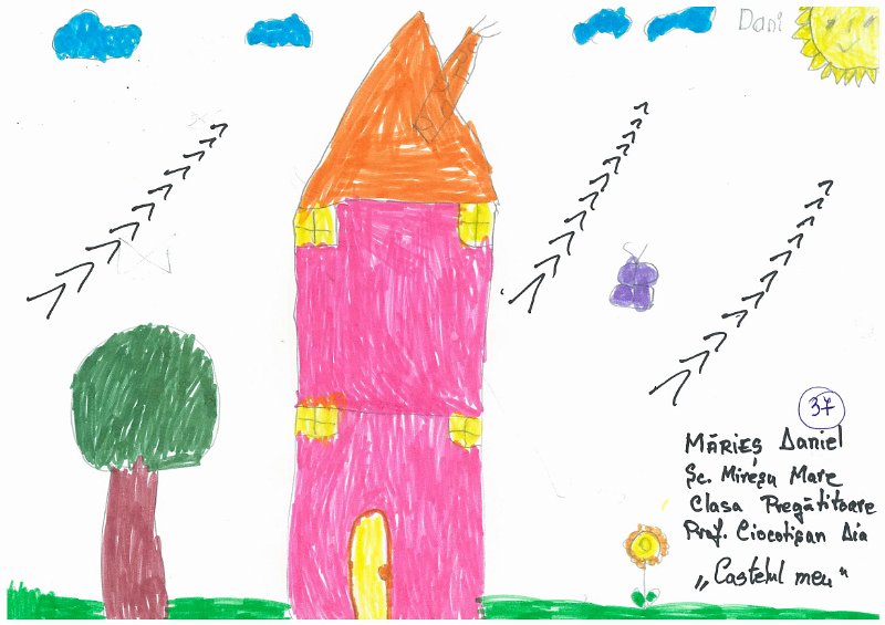 37_Daniel MARIES_Miresu Mare.jpg